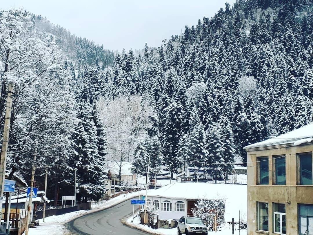 Green Villa Tsaghveri Bagian luar foto